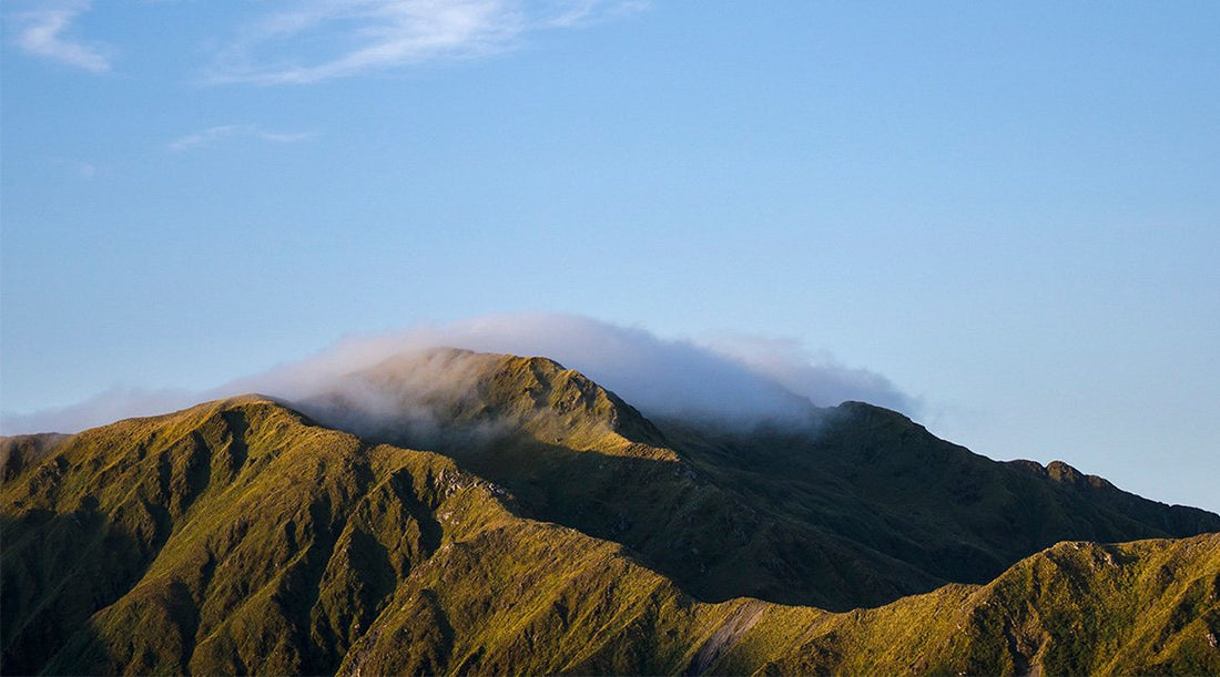 Tararua
