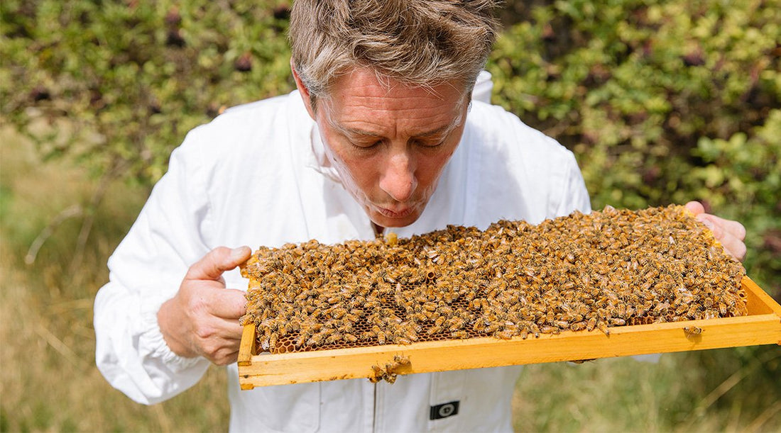 Buzzstop Honey Centre