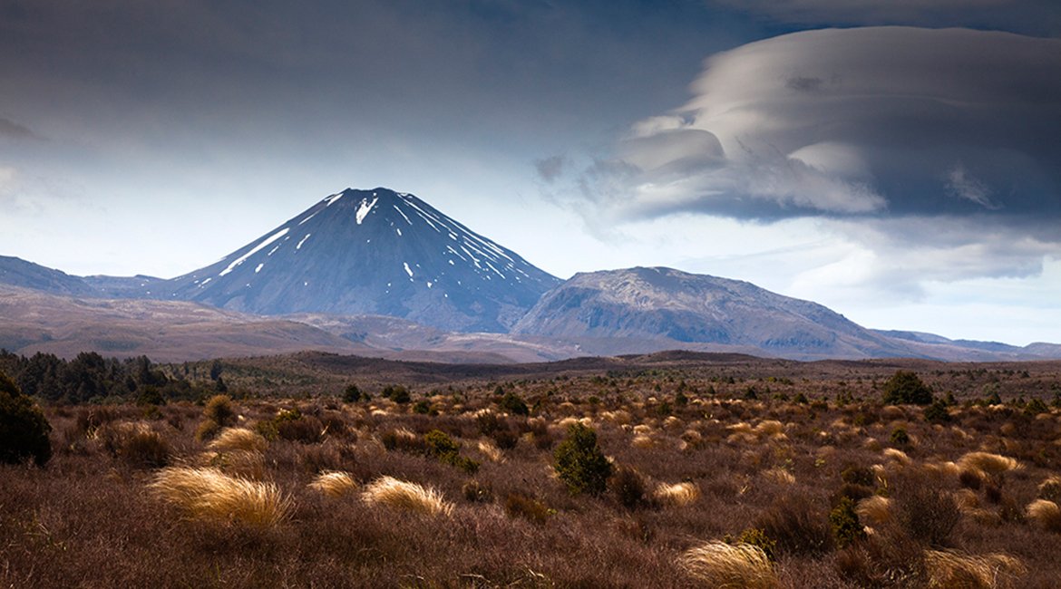 central plateau