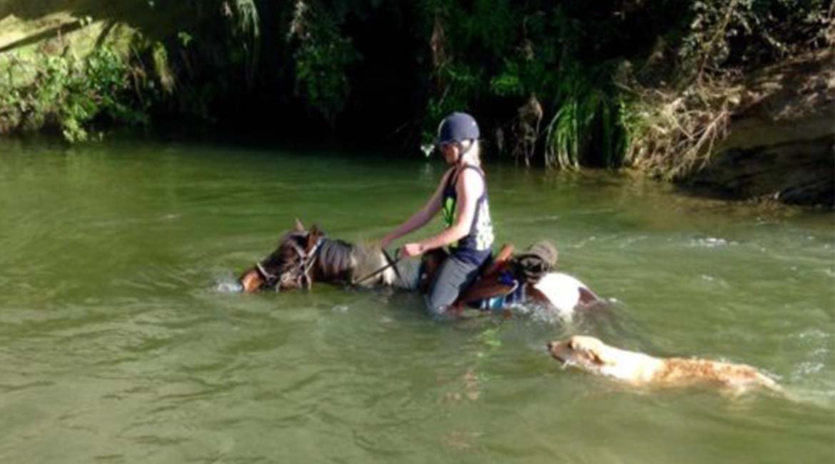 getting back on the horse: how manuka honey healed tahi 